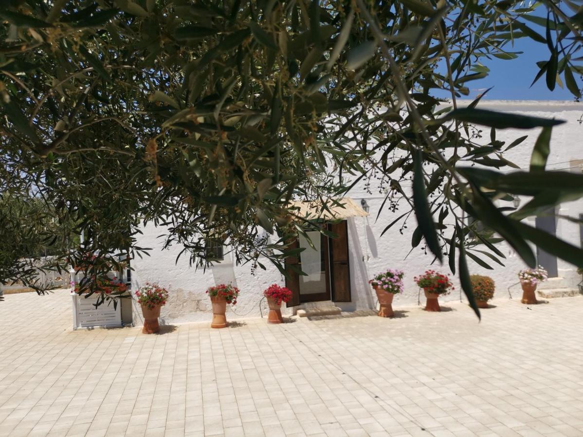 Profumo Di Terra Διαμέρισμα Monopoli Εξωτερικό φωτογραφία