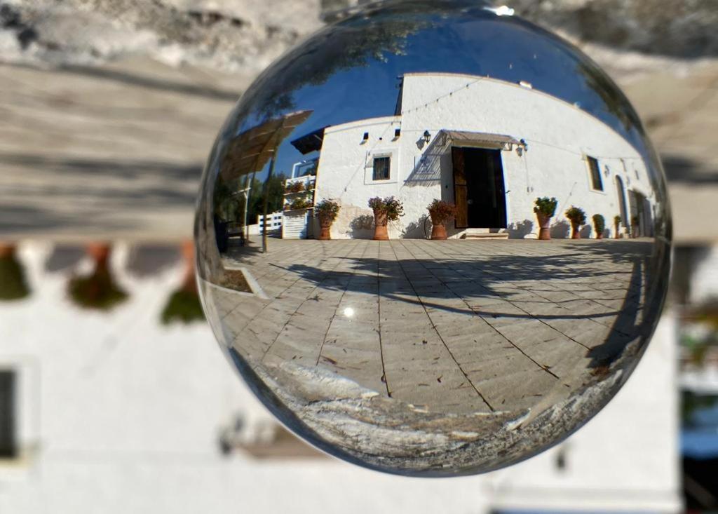 Profumo Di Terra Διαμέρισμα Monopoli Εξωτερικό φωτογραφία